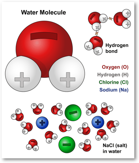water_molecules