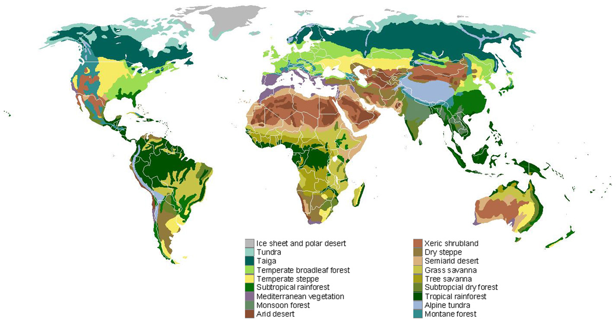 deserts