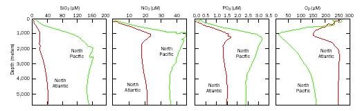 nutrientProfiles