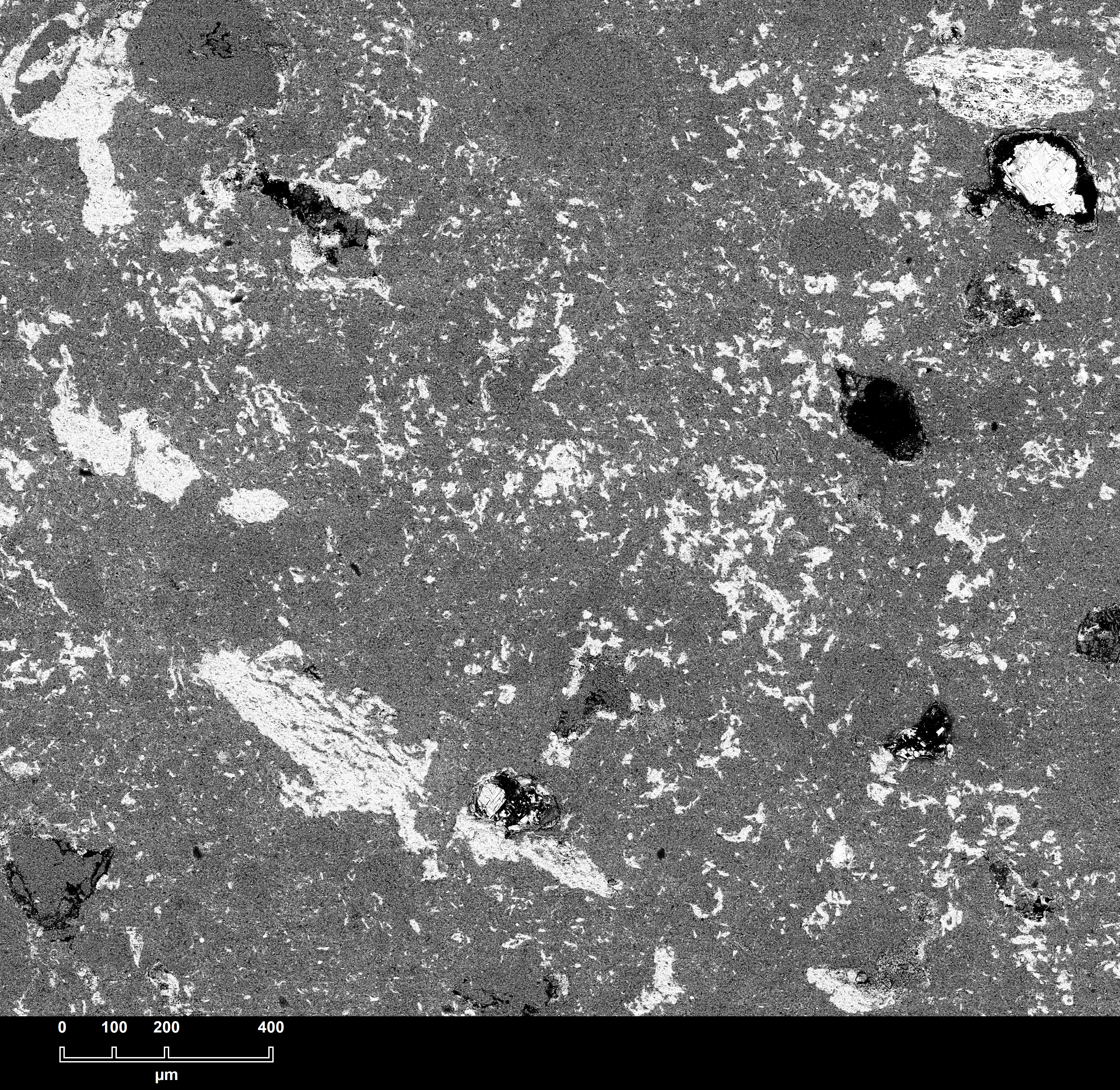 SEM of Siderite in Claystones