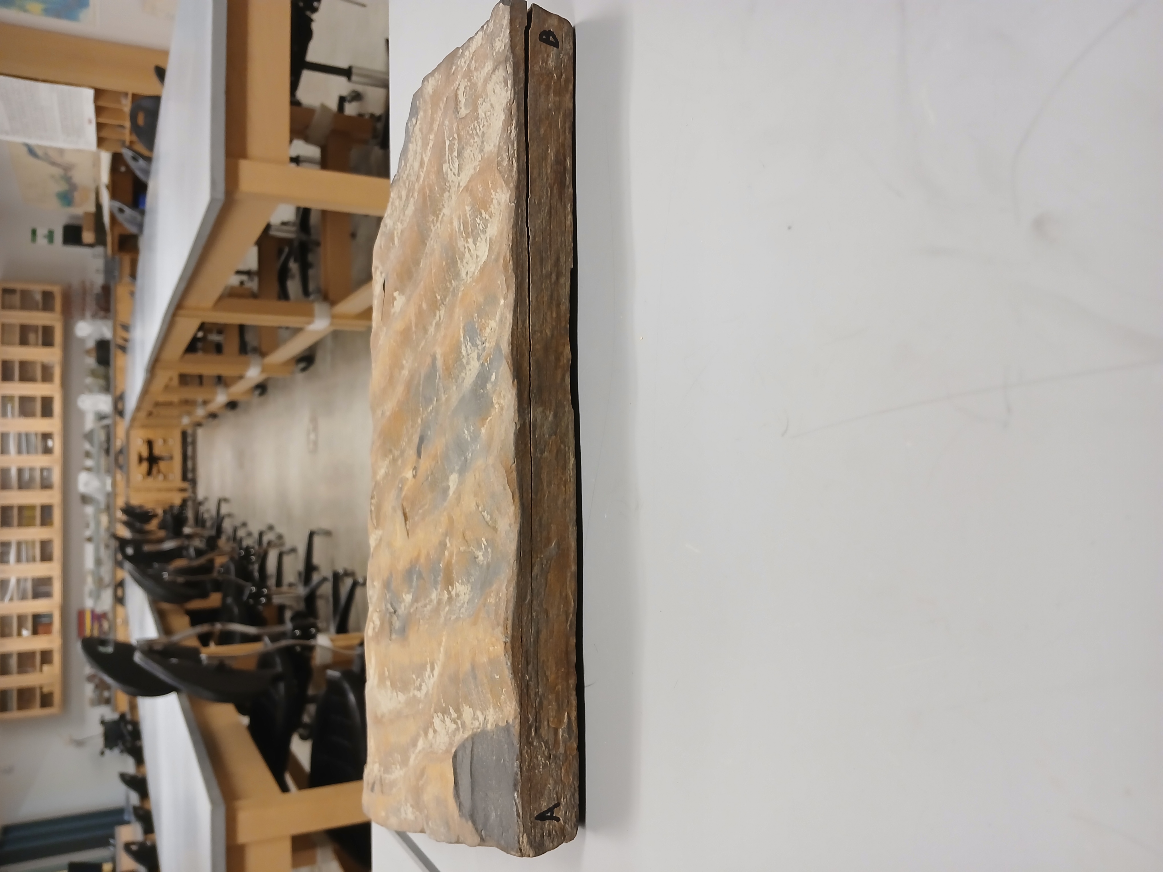 A hand sample with ripple marks in the classroom